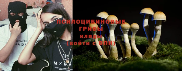 индика Арсеньев