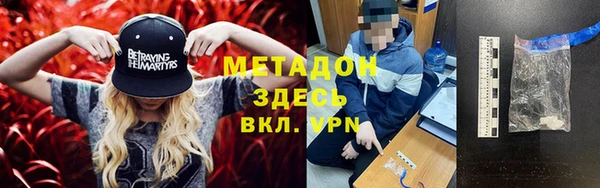 прущие грибы Видное